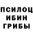 Галлюциногенные грибы Magic Shrooms Vova Pavluk